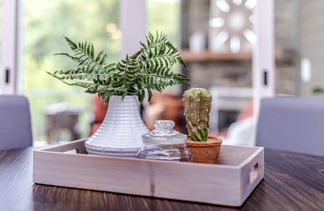 Why Home Staging is Key to Selling Your Property Faster and for More